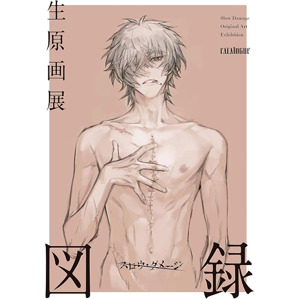 Amazon.co.jp: Nitro+CHiRAL Official Works ～スロウ・ダメージ